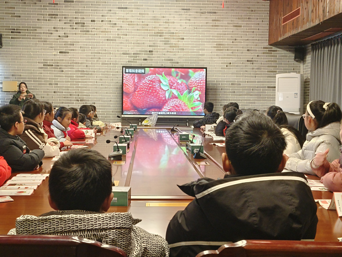 1770359384215347.jpg 1.jpg