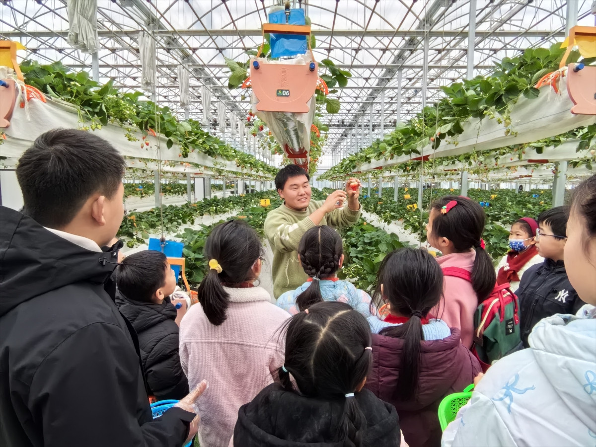 1770359404427941.jpg 3.jpg