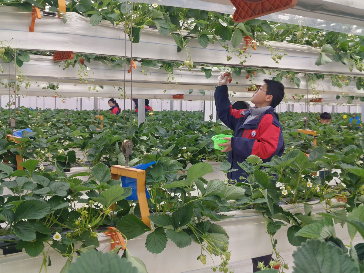 1770359419747950.jpg 5.jpg