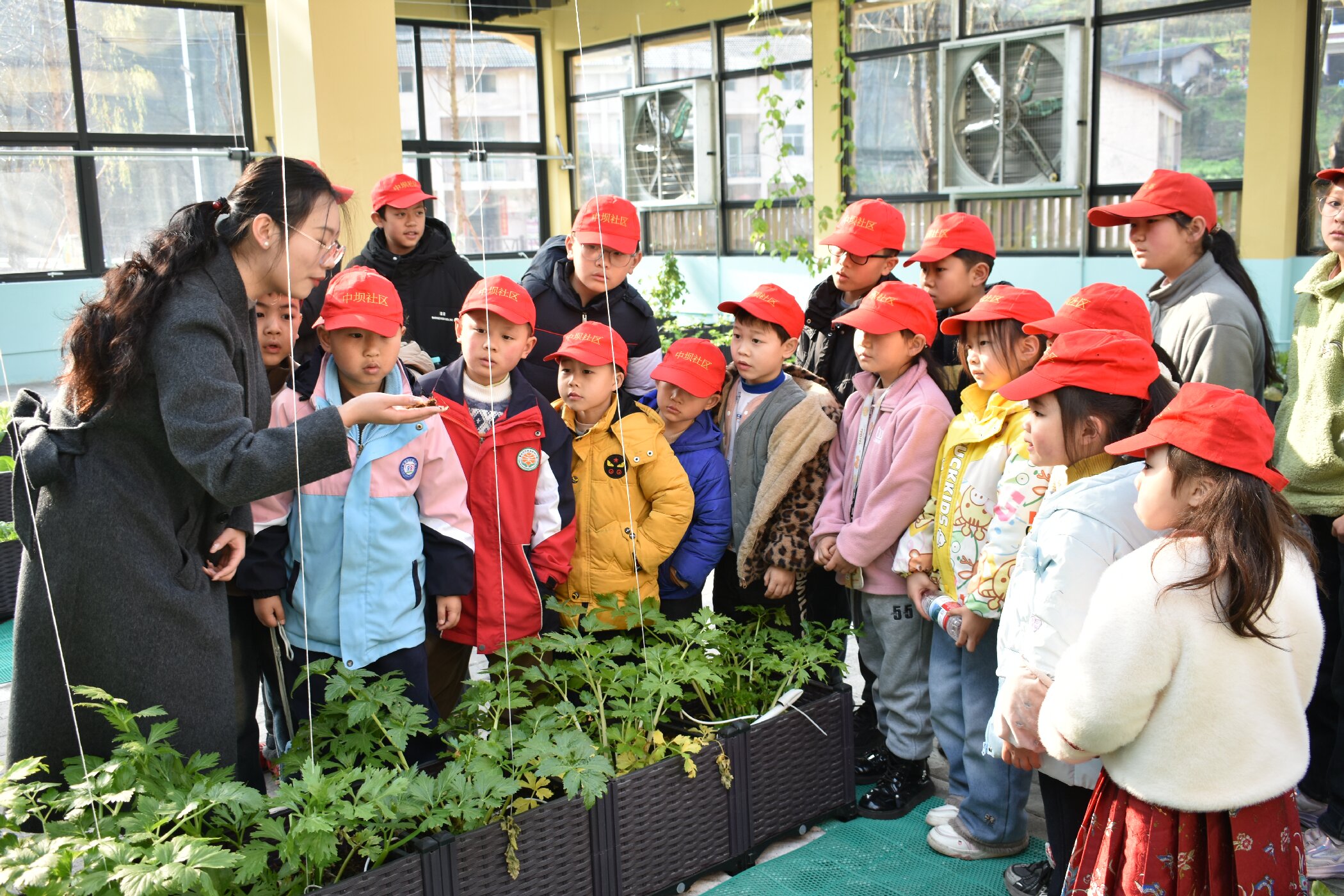 1770708523599862.jpg 22.jpg