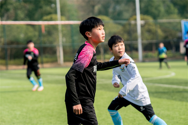 1771924062605387.jpg 1.jpg