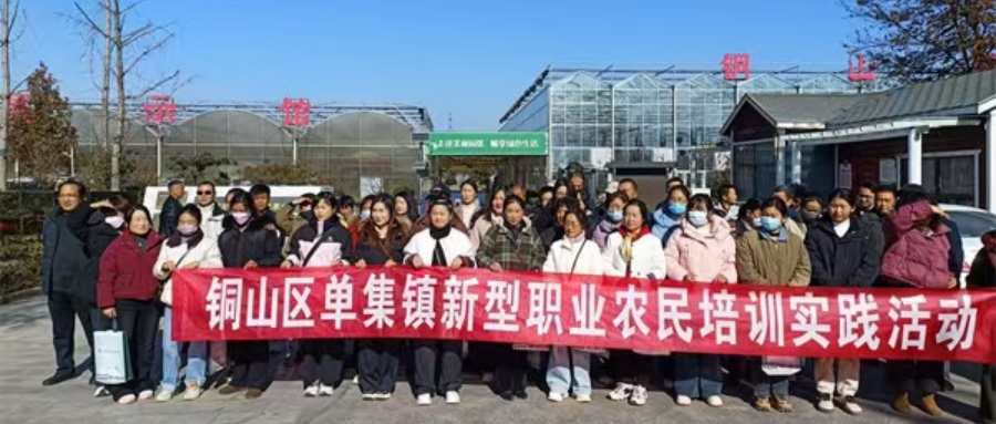 1771989804617612.jpg 02.jpg