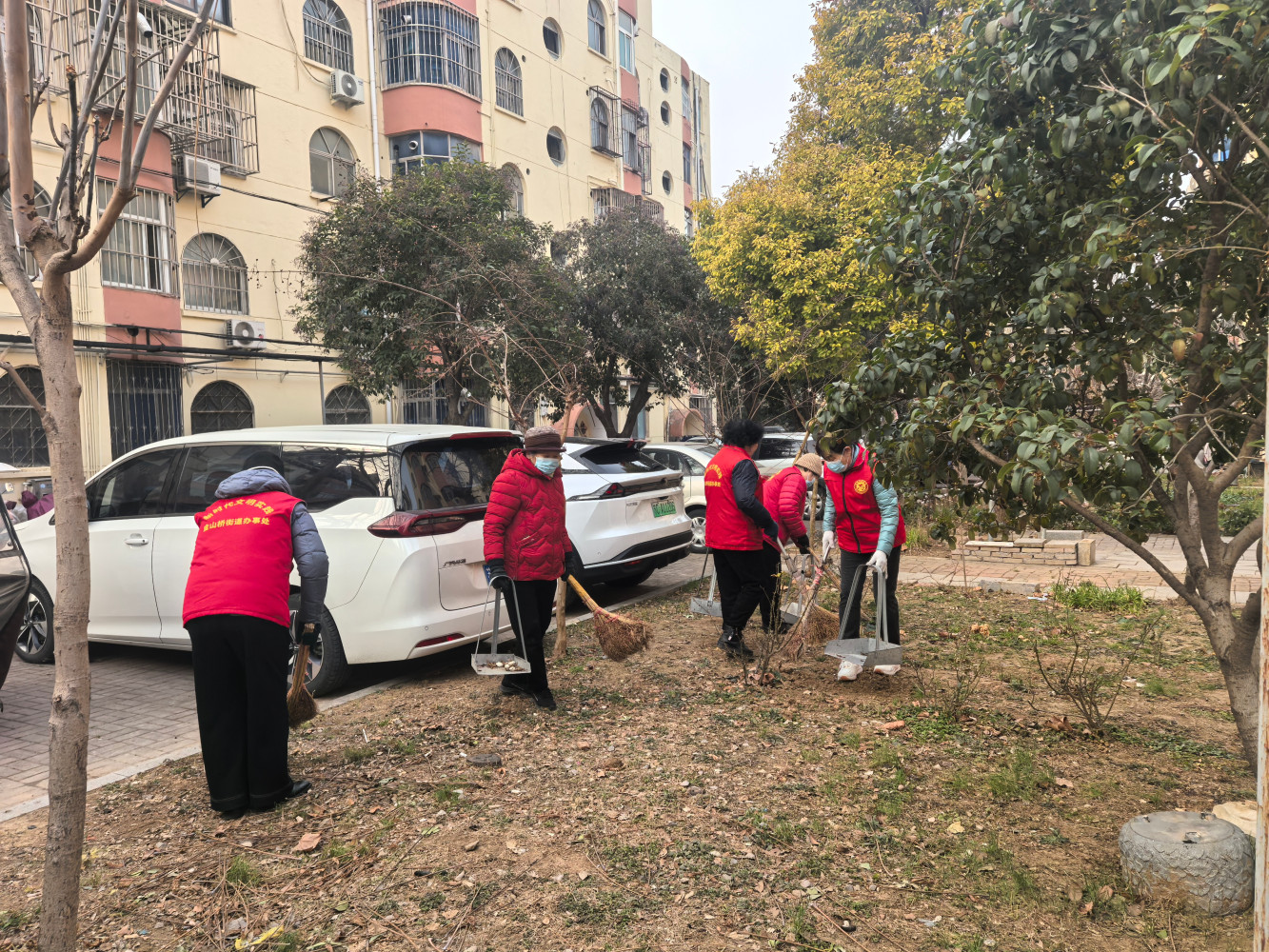 1772091671793855.jpg Honeyview_48589c6e7a5baba197639b7834c461ac.jpg