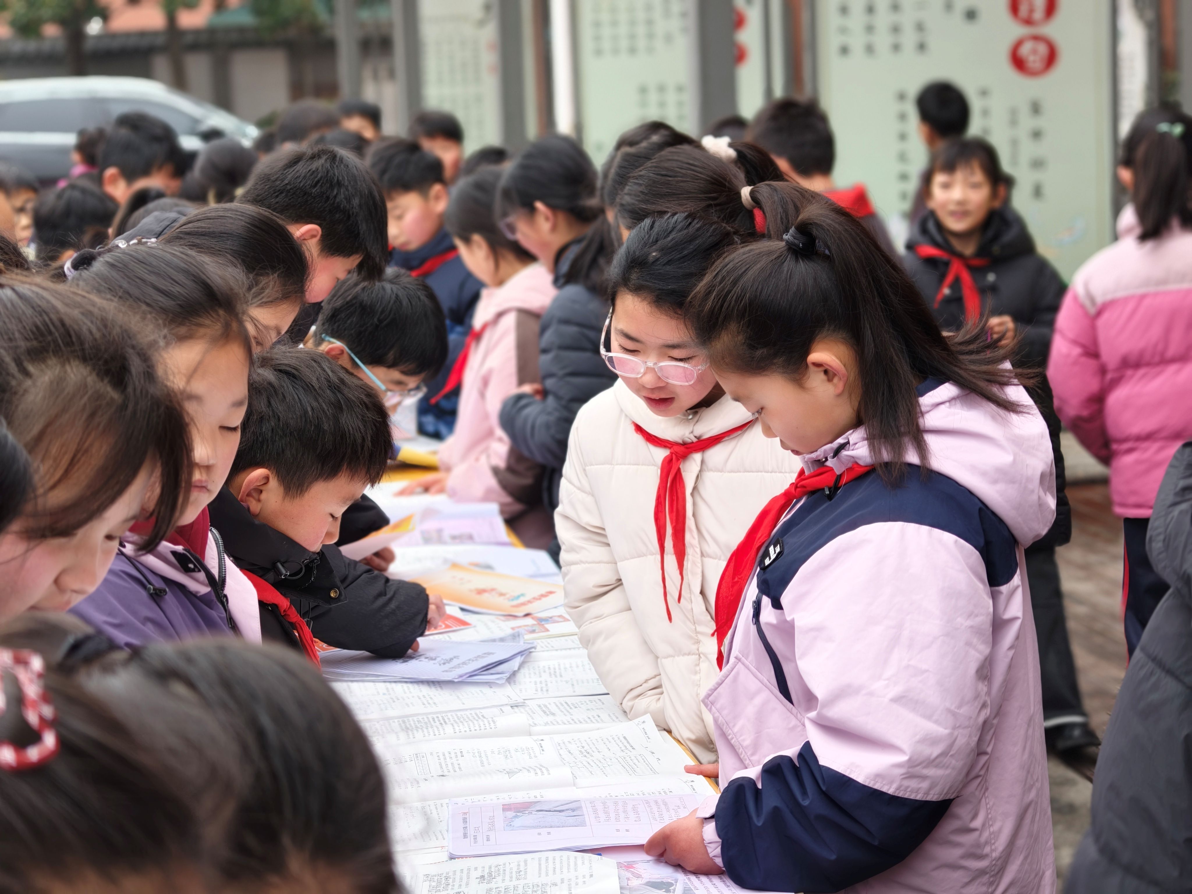 1772843026849228.jpg 6.jpg