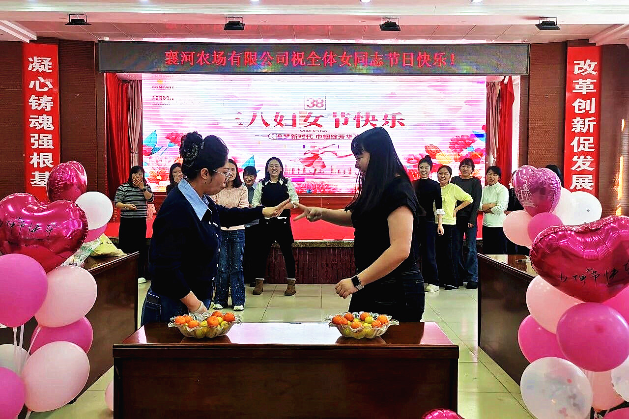 1773189506813163.jpg 赵丽8.jpg