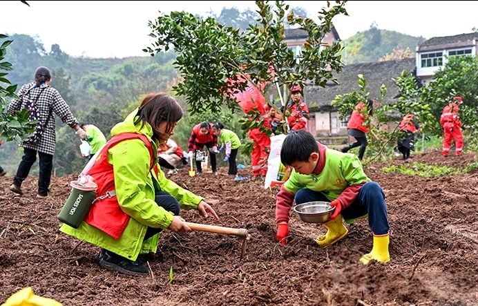 1773191934275209.jpg qq_pic_merged_1773191841992.jpg