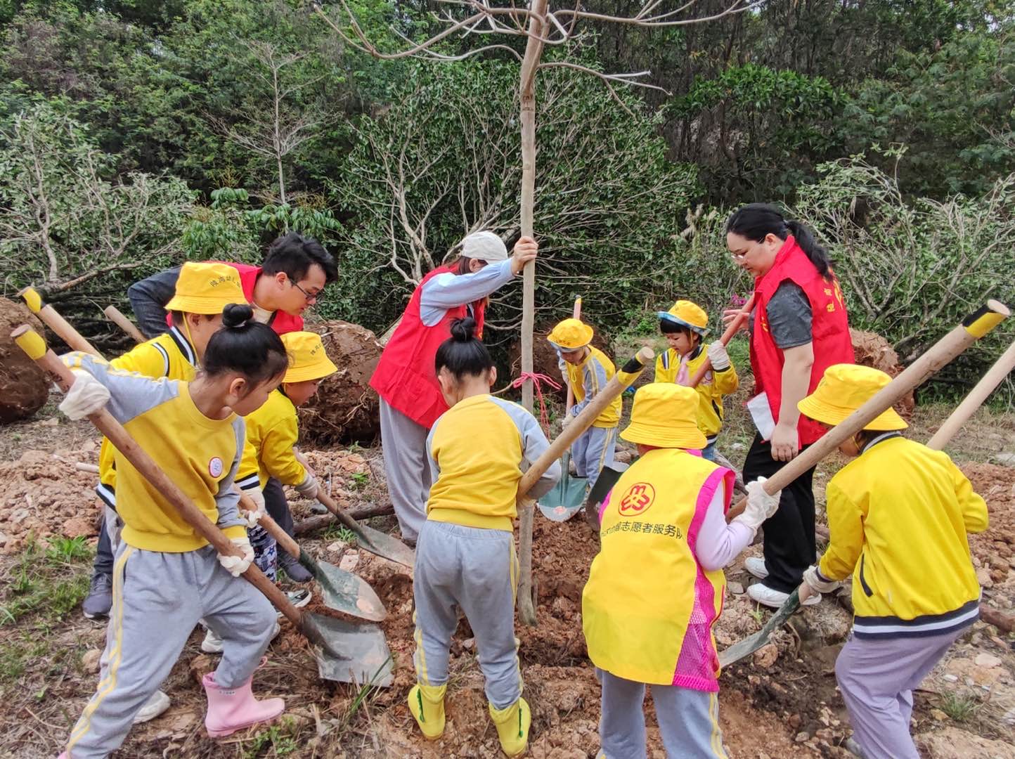 1773194671183437.jpg 微信图片_20260310163432_256_3.jpg