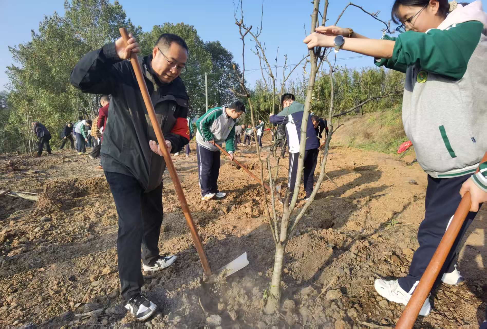 1773198976791026.jpg 1.jpg