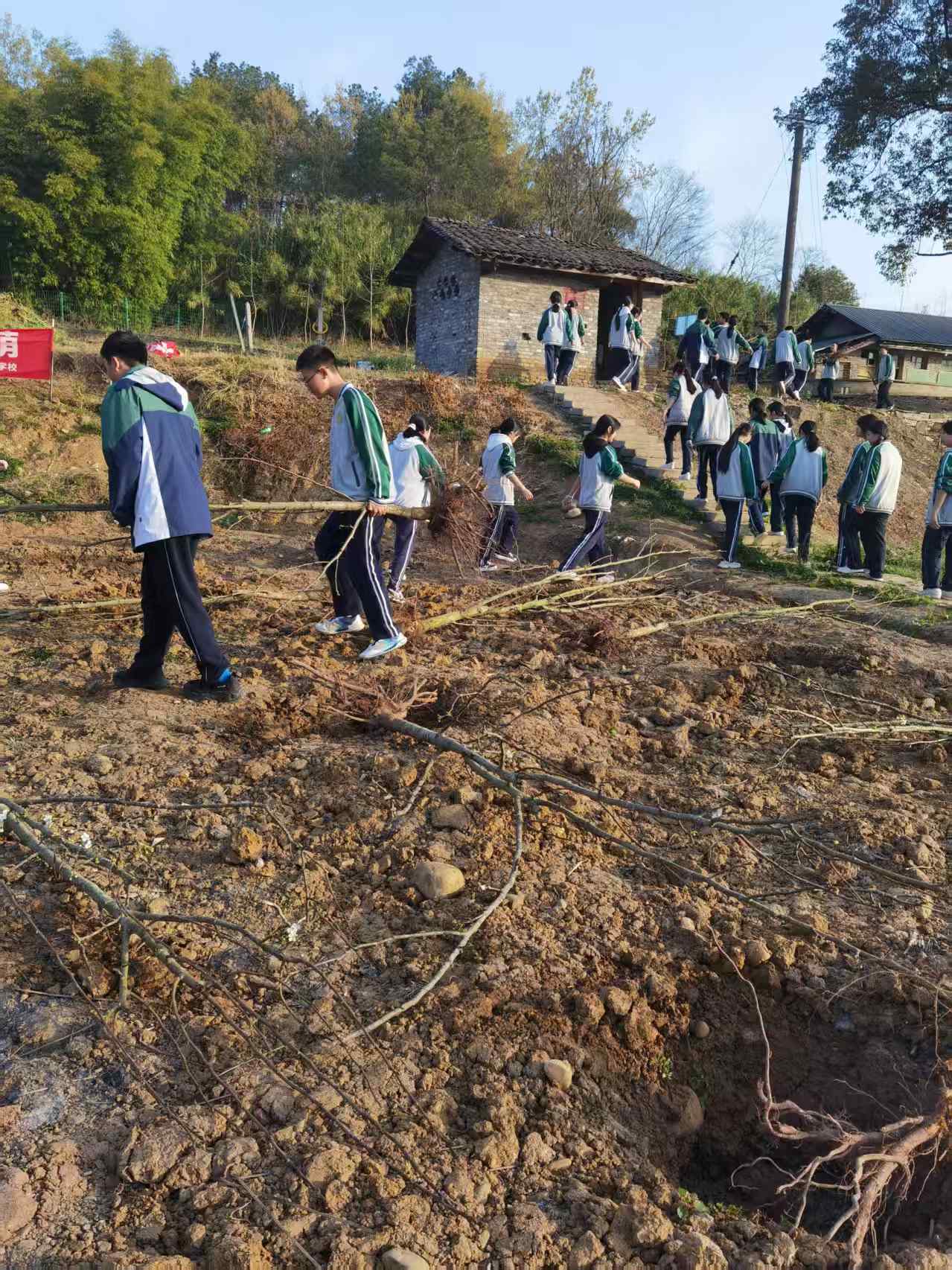 1773199112621077.jpg 1.jpg