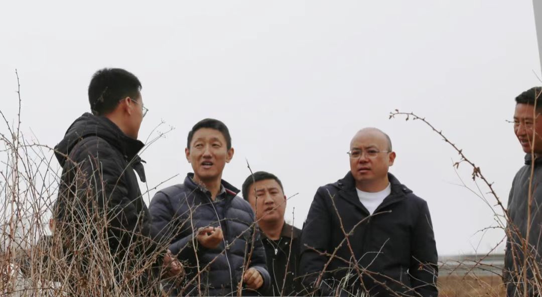 1773211355924169.jpg 895cb499e6d4c0e08e3dc0669c5ec58.jpg