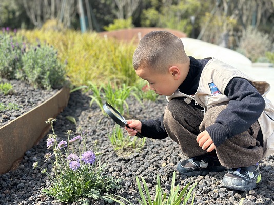 1773218753627224.jpg 23.jpg