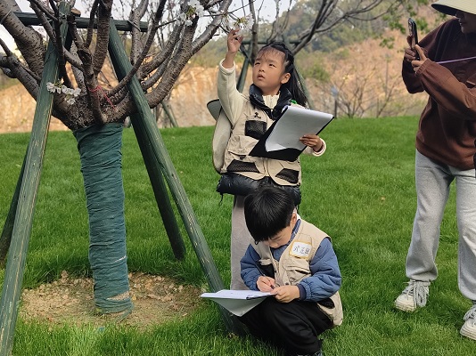 1773218764943555.jpg 33.jpg