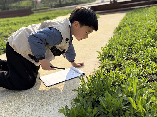 1773218770394209.jpg 21.jpg