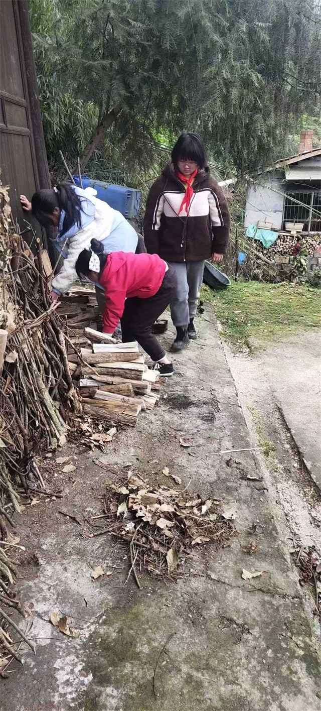 1773241971918986.jpg 4.jpg