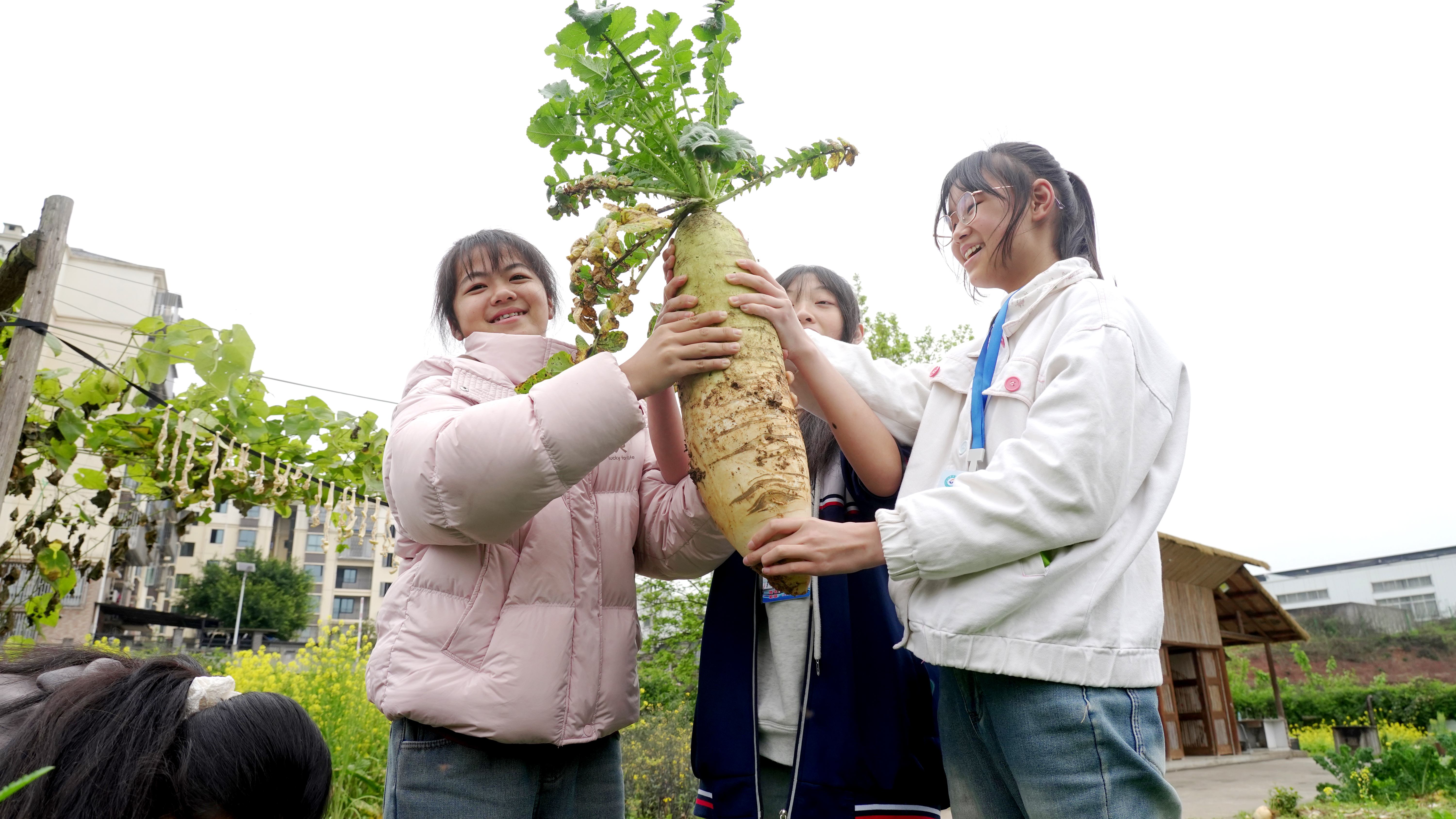 1773277466570667.jpg 微信图片_20260311150654_358_216(1).jpg