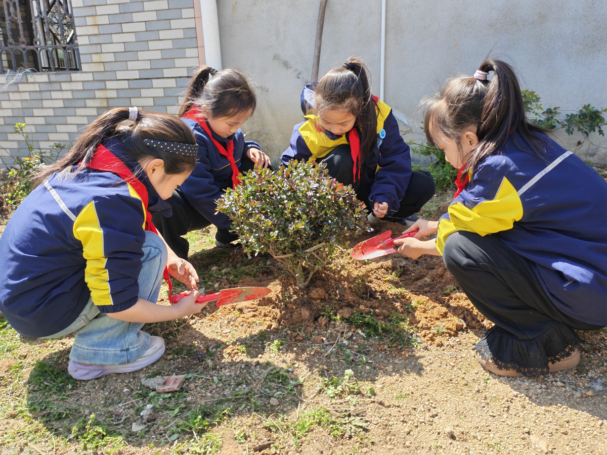 1773278039337785.jpg IMG_20260310_121830_副本.jpg