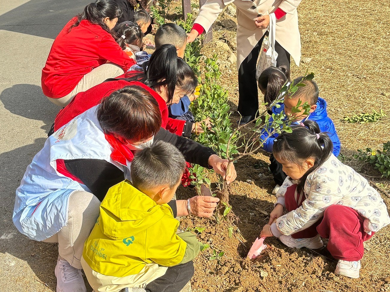 1773300084972466.jpg 植树节.JPG