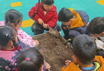 1773361904599533.png 图片1.png