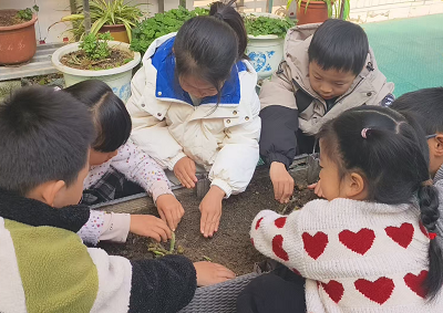 1773361931349498.png 图片2.png