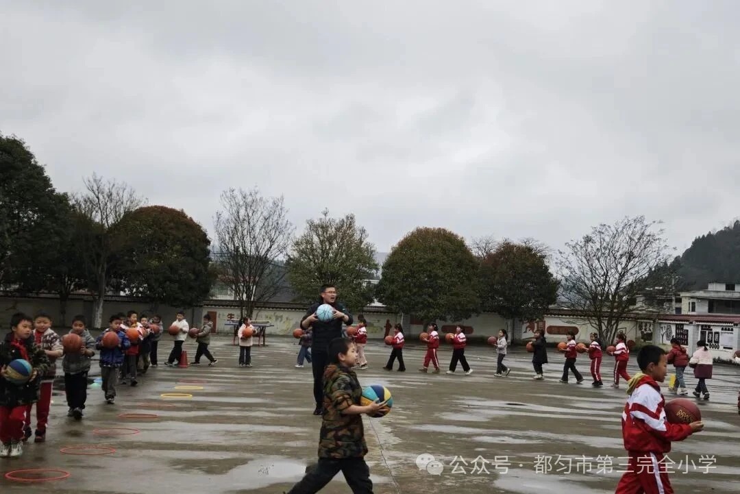 微信图片_2026-03-20_162441_343.webp