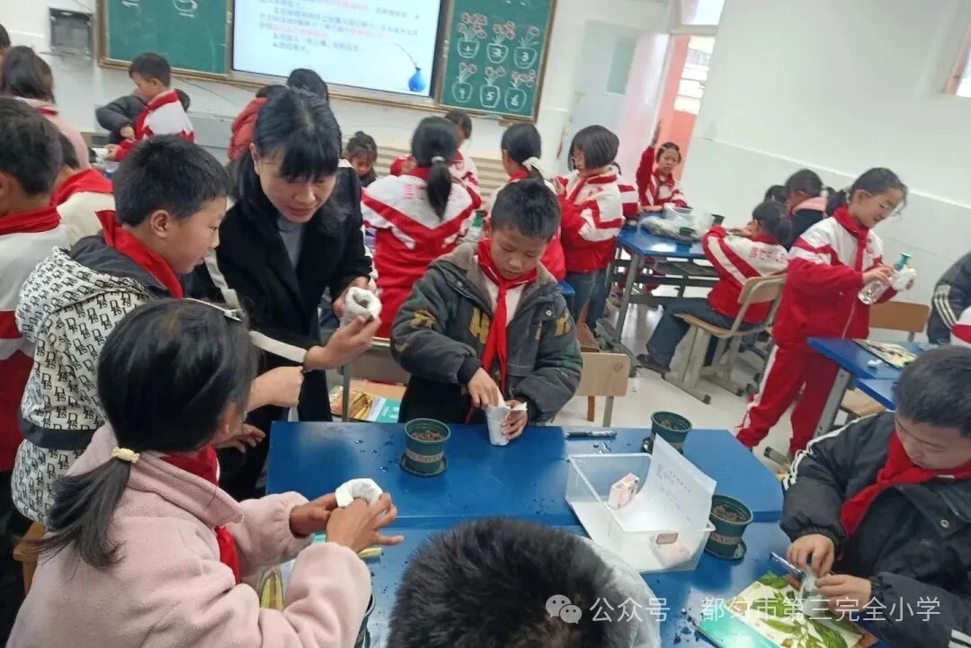 微信图片_2026-03-20_162505_139.webp