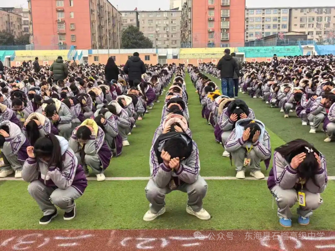 微信图片_20260323154216_54_1.jpg