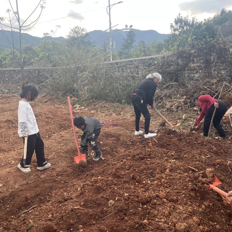 家长们协助学生锄地.jpg