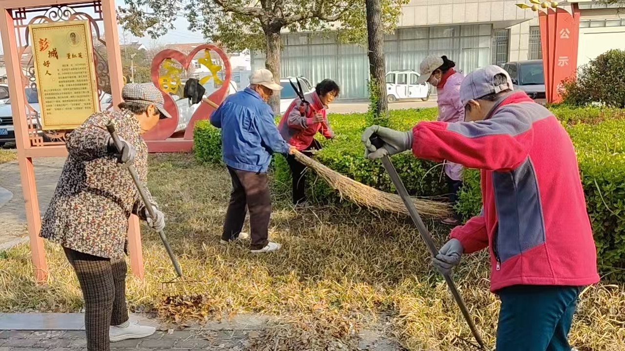 “五老”清理好人园 (2).jpg