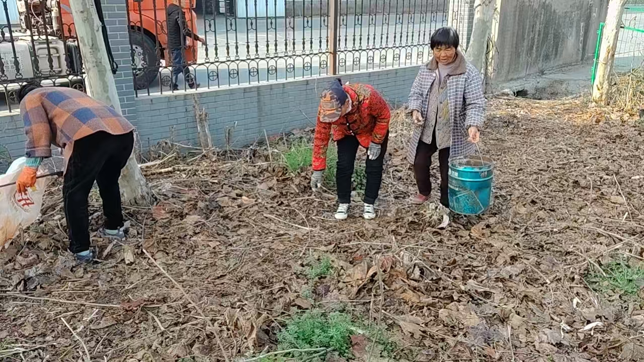 “五老”清理好人园 (1).jpg