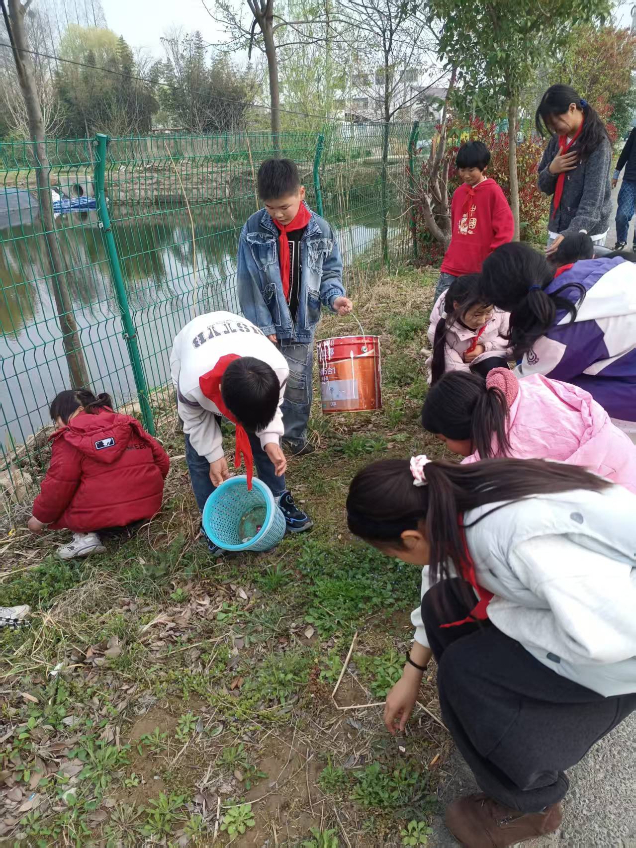 1775100433436942.jpg 微信图片_20260402112621_1399_95.jpg