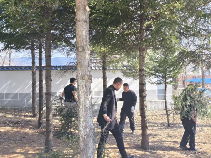 微信图片_20260404164102.png