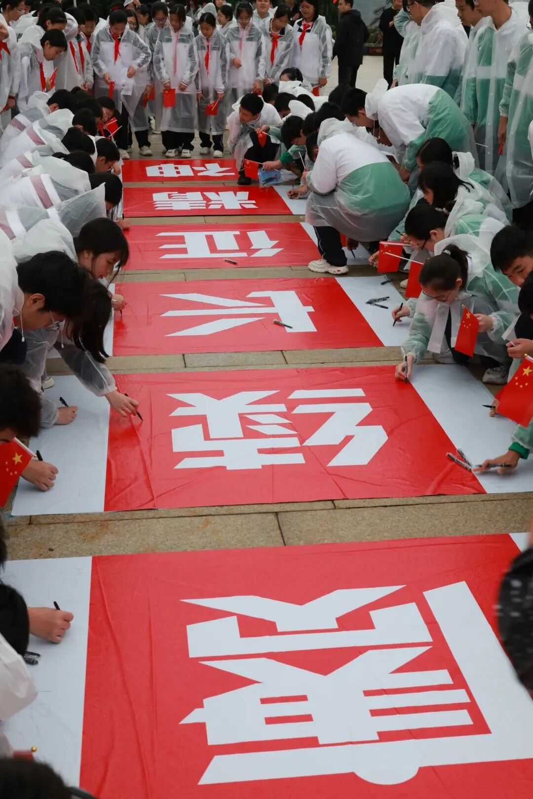 1775548450778490.jpg 640 (6).jpg