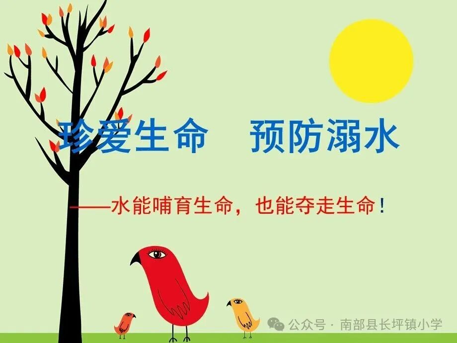 长坪小学2.jpg