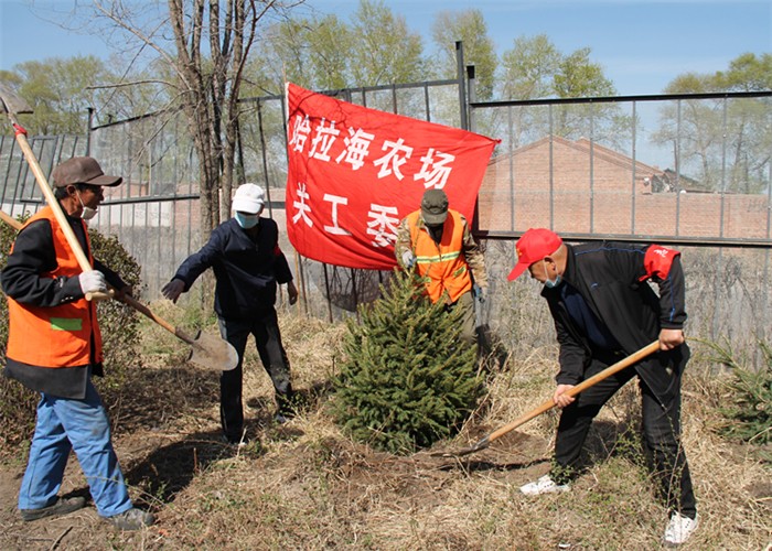 植树 (3)_副本.jpg