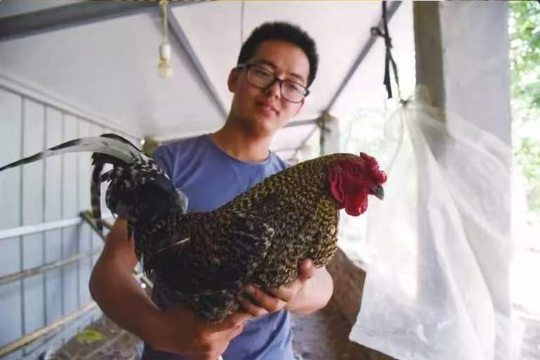 1776821953354678.jpg 微信图片_20260422093523_1358_95.jpg