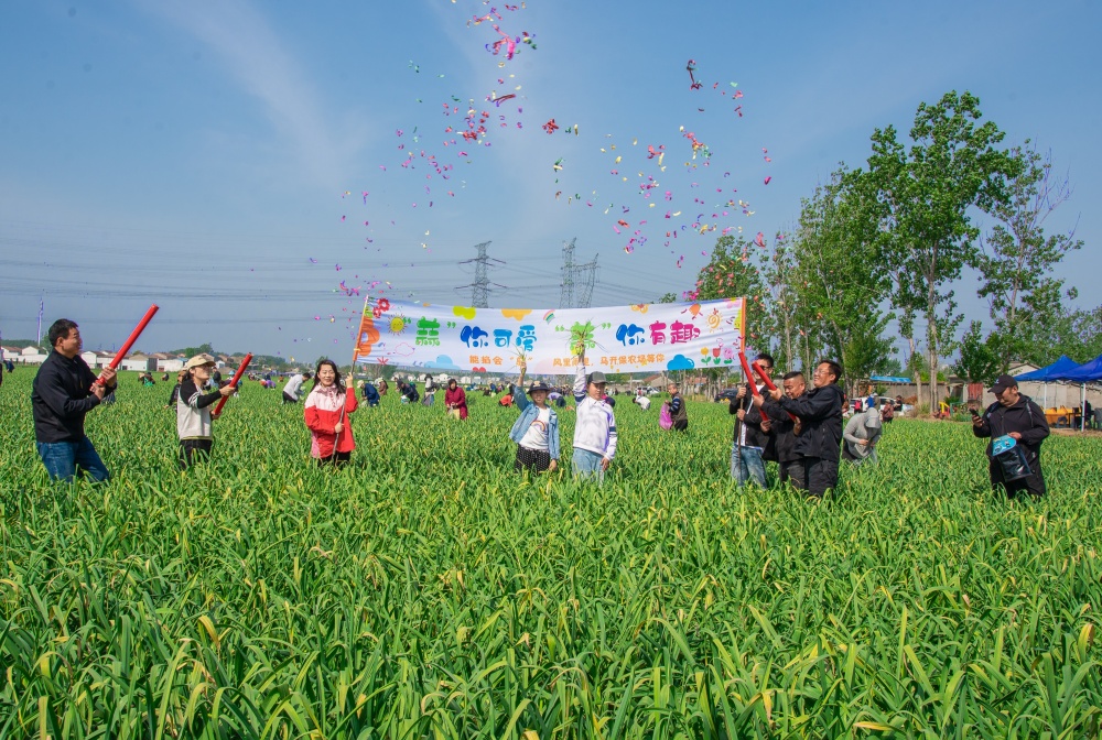1777255662514646.jpg 徐州经开区大庙街道后姚村关工委开展“农场开放日暨关工委服务进田间”主题实践活动1_副本_副本.jpg