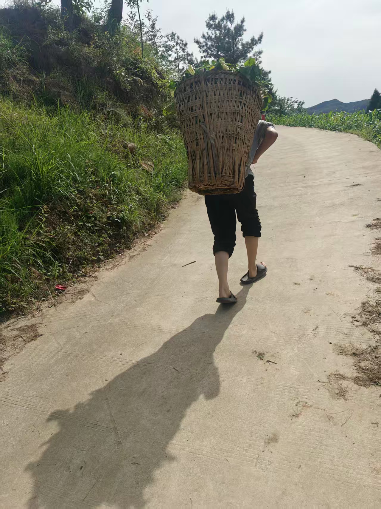 微信图片_20260507092631_7_425.jpg