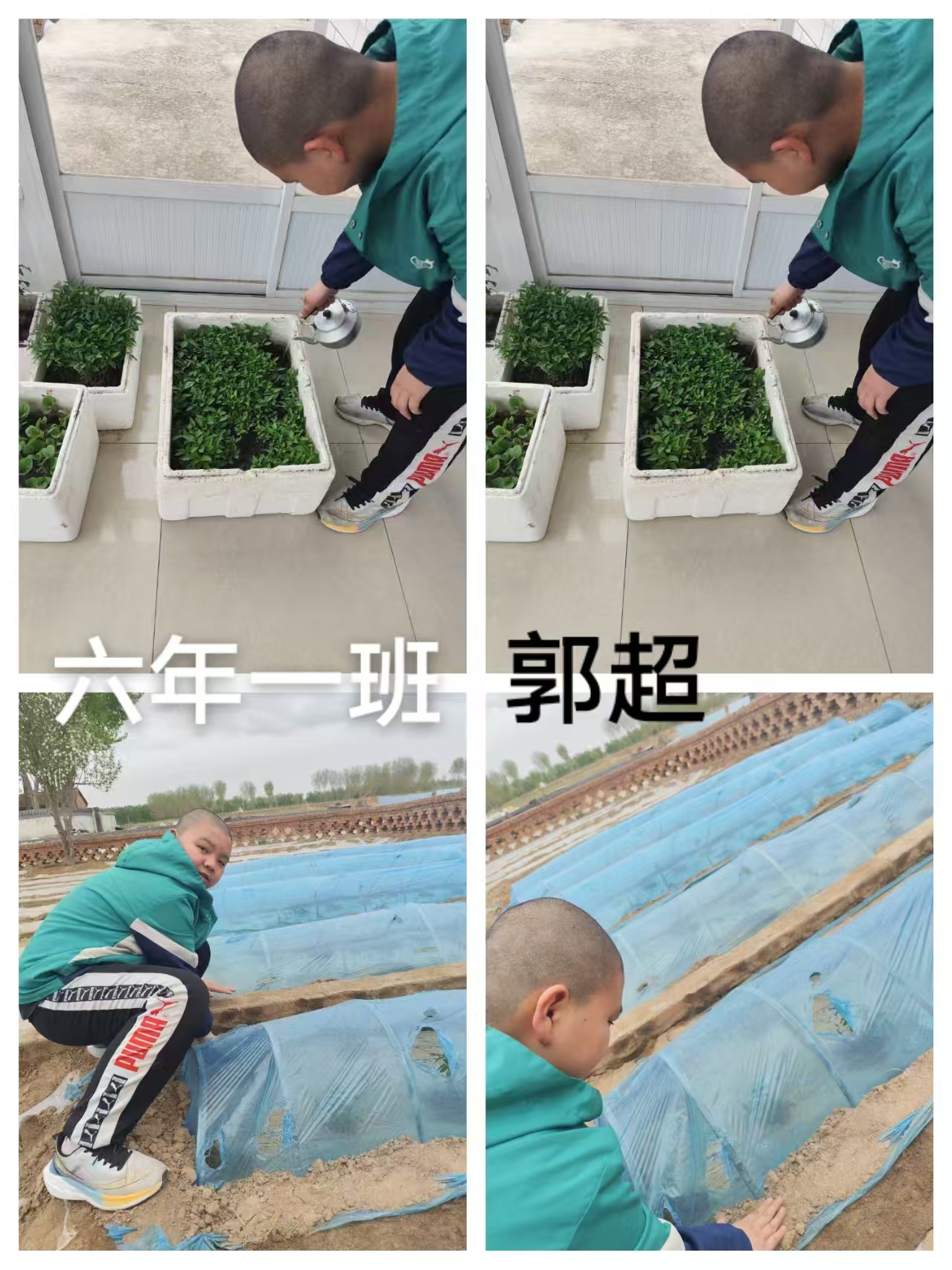 马蹄营子学校“乐享劳动，赋能成长”活动照片18.jpg