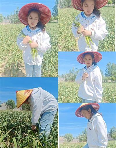 91ddbb9046d59e54d9704b9dce785765_看图王.jpg