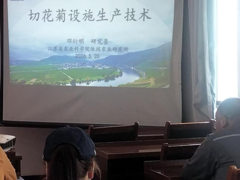 图片8.png