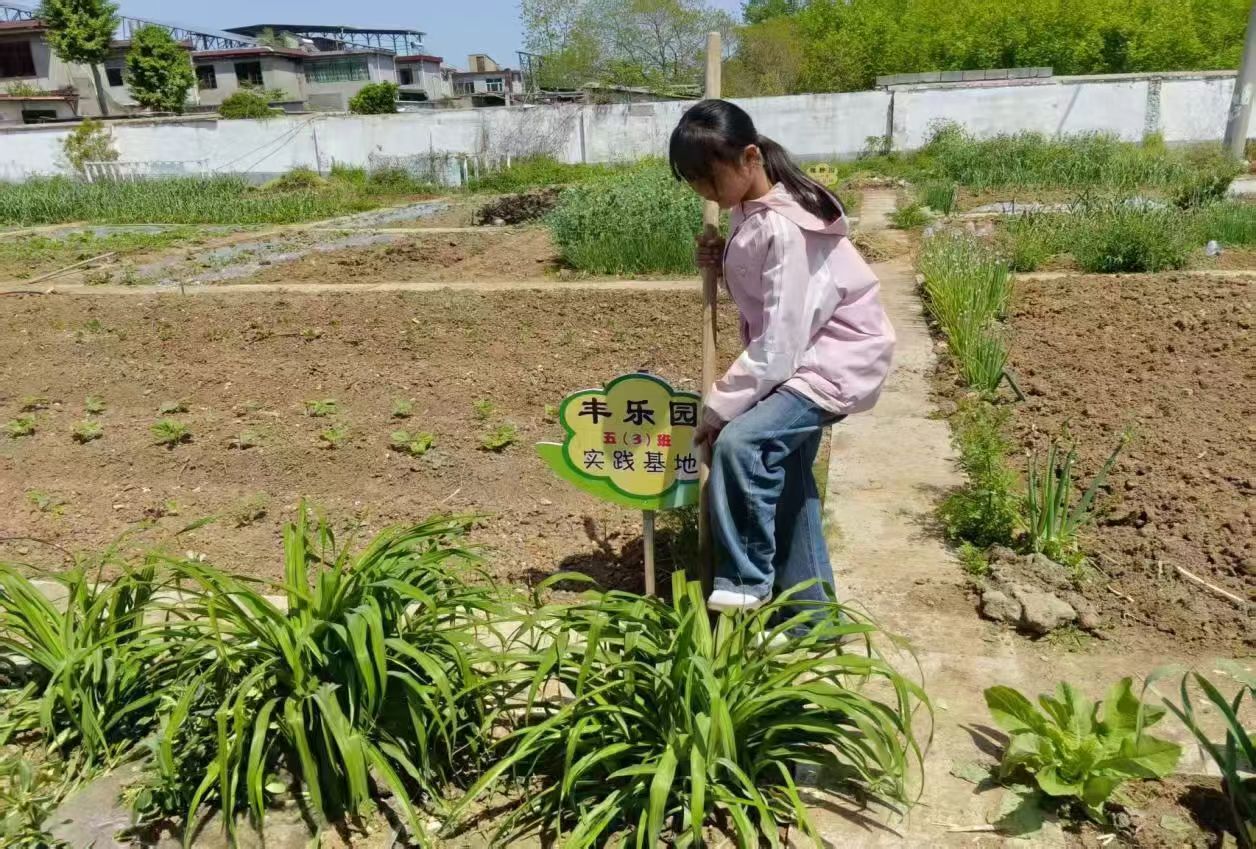 微信图片_20260528191910_310_8.jpg