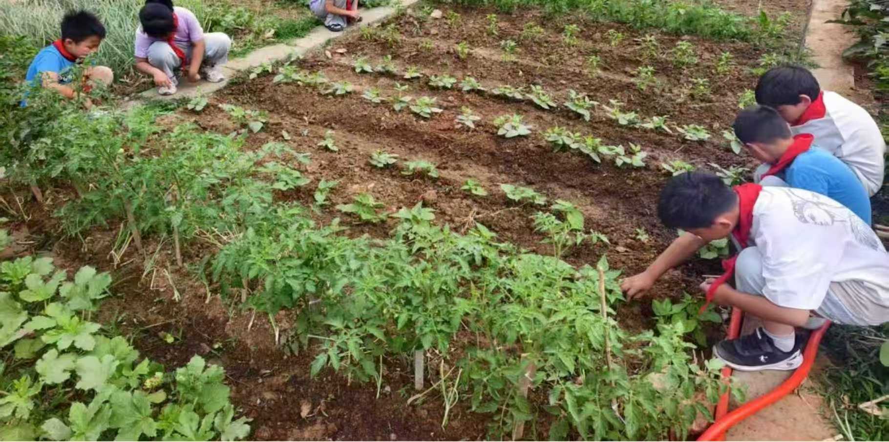 微信图片_20260528191911_311_8.jpg