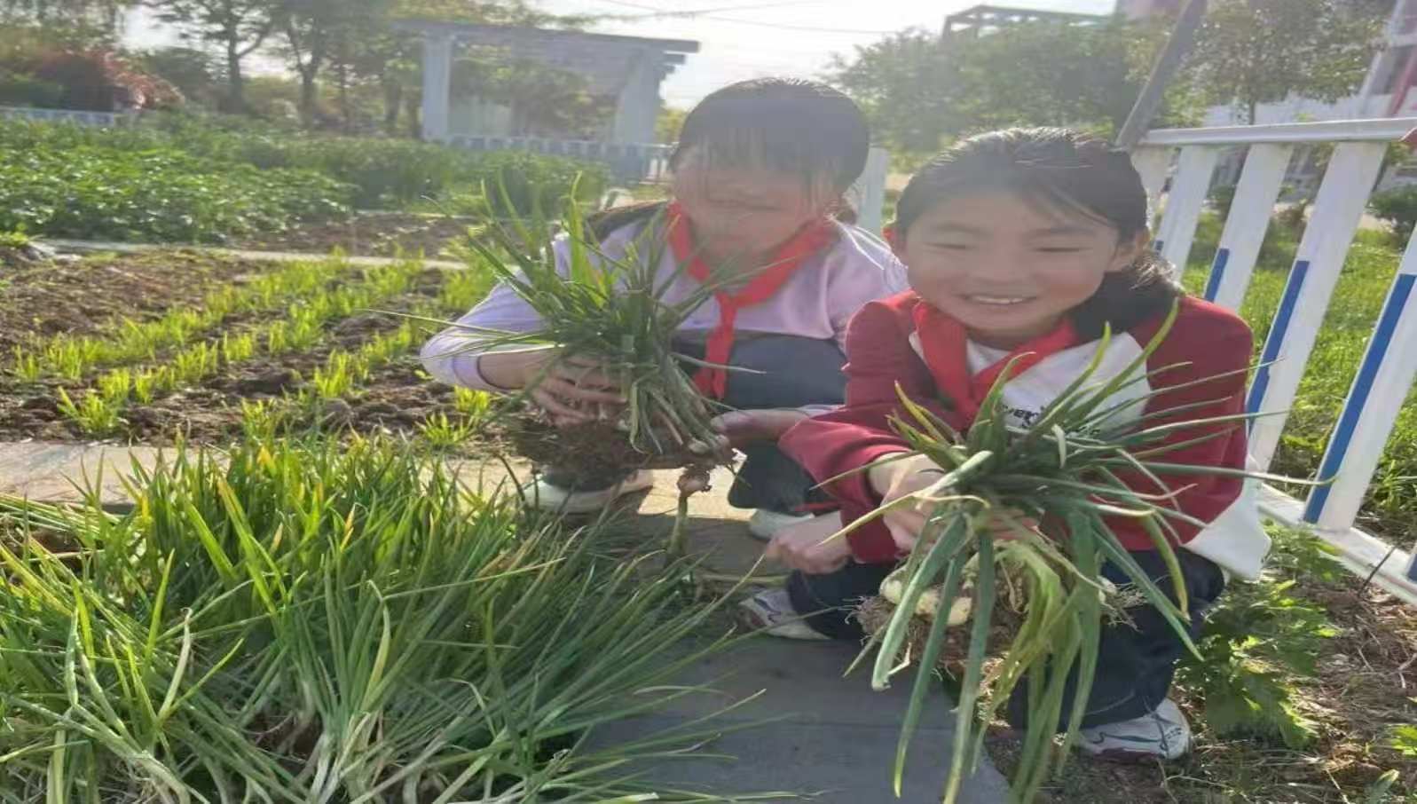 微信图片_20260528191916_313_8.jpg