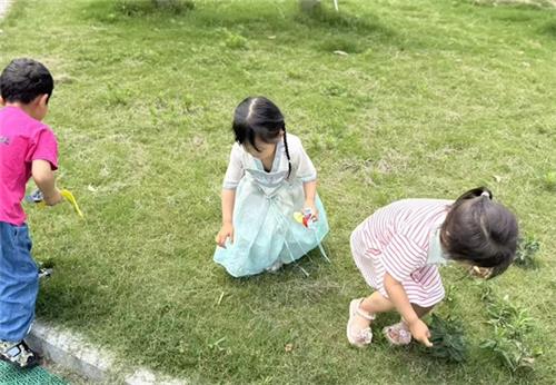 1780712417244029.jpg 63c40c94ea5b088ec0655e41fe026445_看图王.jpg