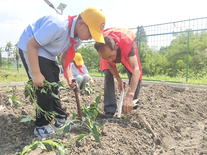 【平望镇】上横村关工委：于田园烟火间领略农耕魅力.jpg