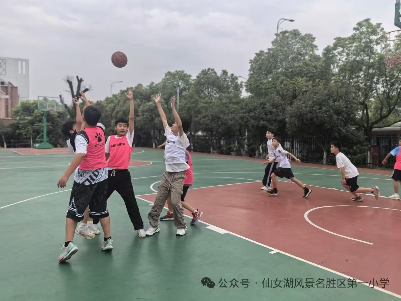 77e631b7fb279759079f269771b79e5e.jpg