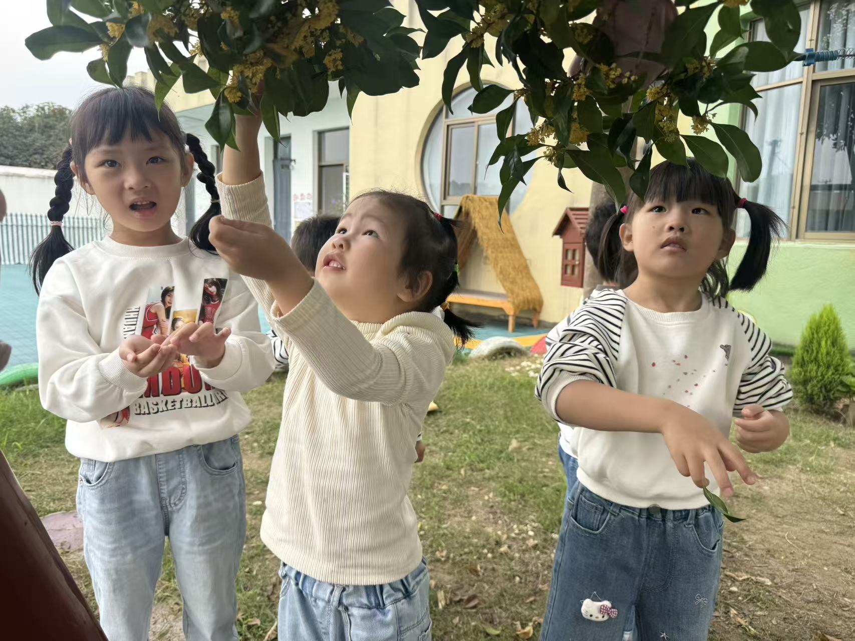 秋日寻桂润童心 自然护眼伴成长——江苏省南通市如东县掘港镇九总幼儿园开展秋日护眼主题实践活动