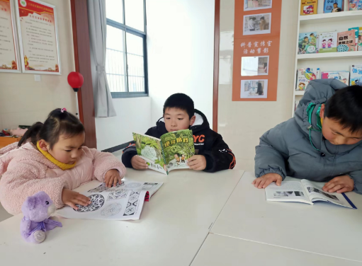 安徽省合肥市肥东县白龙镇关工委利用农家书屋丰富青少年寒假生活