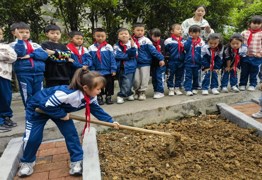 吉首市第一小学关工委组织低年级学生开设“一米阳光菜园”劳动教育实践基地开展蔬菜种植活动