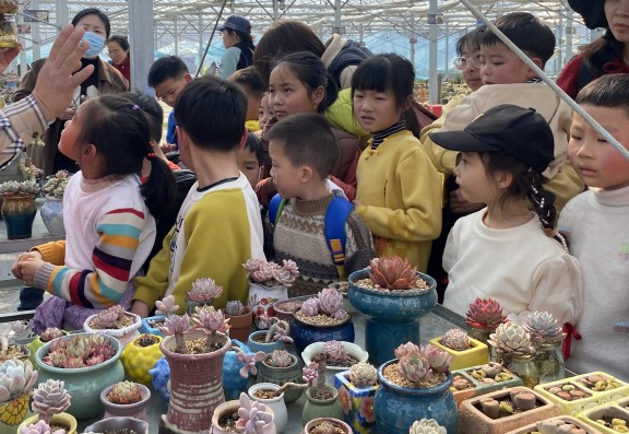 安徽省合肥市肥东县白龙镇青龙厂社区关工委开展“萌动多肉世界，趣享绿时光”亲子DIY活动